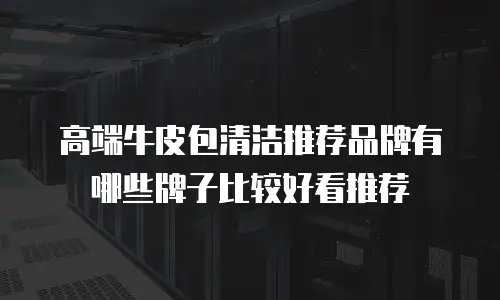 高端牛皮包清洁推荐品牌有哪些牌子比较好看推荐