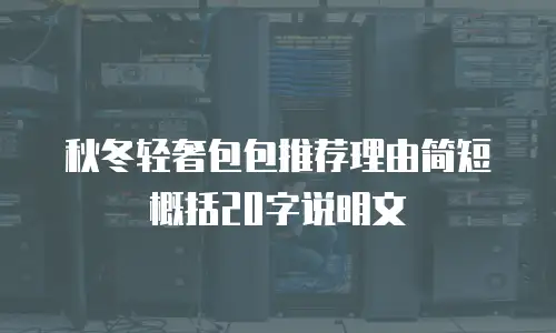 秋冬轻奢包包推荐理由简短概括20字说明文