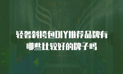 轻奢斜挎包DIY推荐品牌有哪些比较好的牌子吗