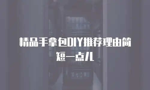 精品手拿包DIY推荐理由简短一点儿