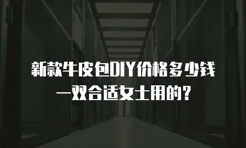 新款牛皮包DIY价格多少钱一双合适女士用的？
