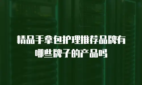 精品手拿包护理推荐品牌有哪些牌子的产品吗