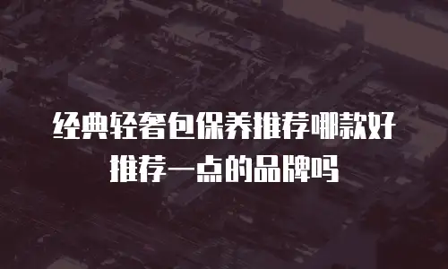 经典轻奢包保养推荐哪款好推荐一点的品牌吗