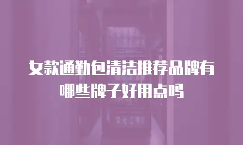 女款通勤包清洁推荐品牌有哪些牌子好用点吗