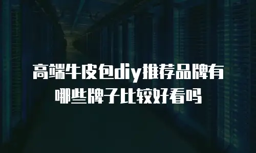 高端牛皮包diy推荐品牌有哪些牌子比较好看吗