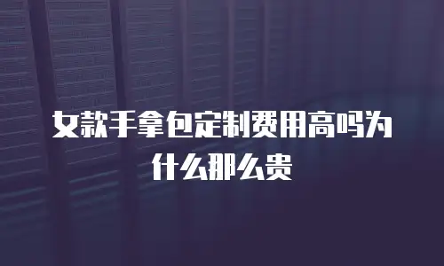 女款手拿包定制费用高吗为什么那么贵