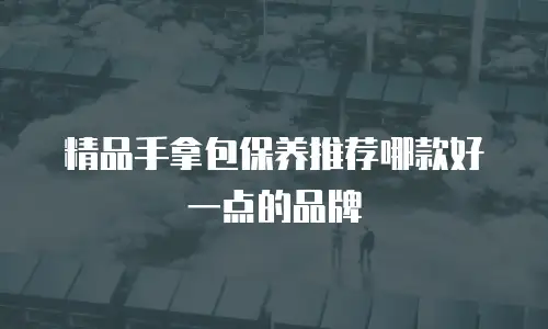 精品手拿包保养推荐哪款好一点的品牌