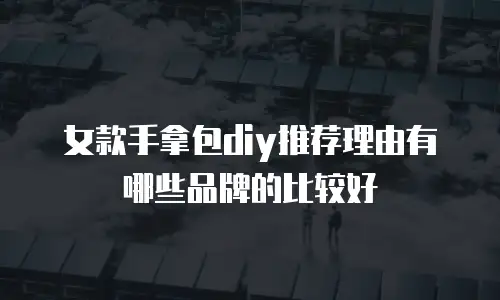 女款手拿包diy推荐理由有哪些品牌的比较好