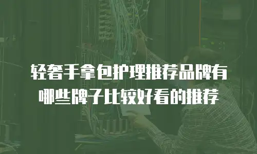 轻奢手拿包护理推荐品牌有哪些牌子比较好看的推荐