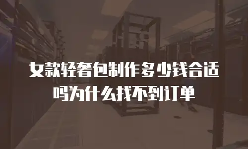 女款轻奢包制作多少钱合适吗为什么找不到订单