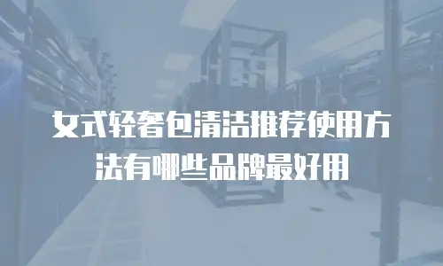 女式轻奢包清洁推荐使用方法有哪些品牌最好用