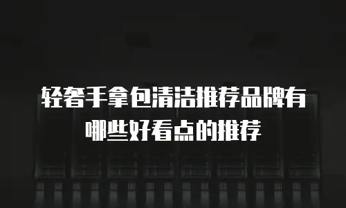 轻奢手拿包清洁推荐品牌有哪些好看点的推荐
