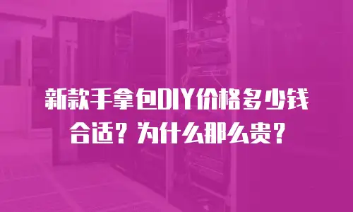 新款手拿包DIY价格多少钱合适？为什么那么贵？
