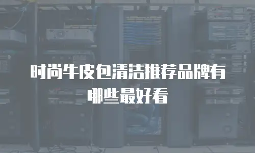 时尚牛皮包清洁推荐品牌有哪些最好看