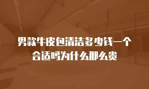 男款牛皮包清洁多少钱一个合适吗为什么那么贵