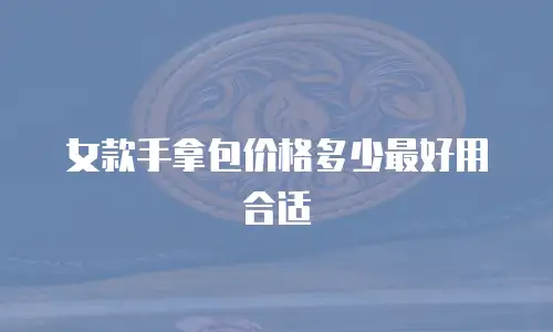 女款手拿包价格多少最好用合适