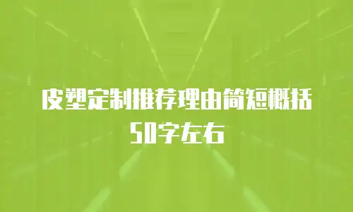 皮塑定制推荐理由简短概括50字左右