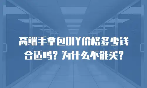 高端手拿包DIY价格多少钱合适吗？为什么不能买？