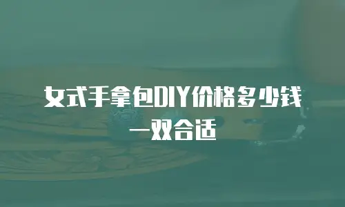 女式手拿包DIY价格多少钱一双合适