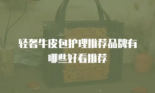 轻奢牛皮包护理推荐品牌有哪些好看推荐