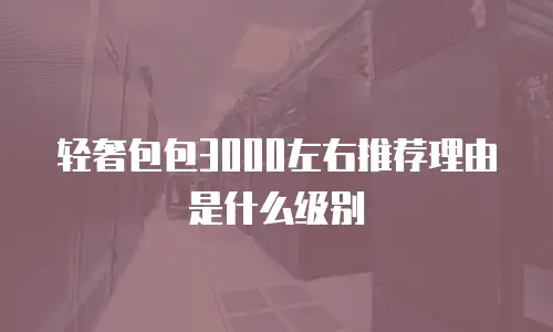 轻奢包包3000左右推荐理由是什么级别