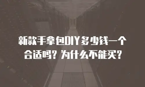 新款手拿包DIY多少钱一个合适吗？为什么不能买？