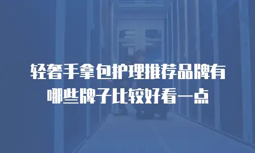 轻奢手拿包护理推荐品牌有哪些牌子比较好看一点