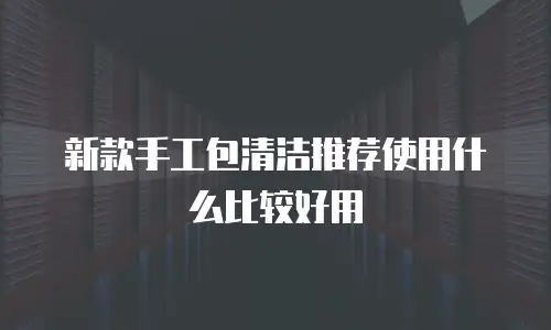 新款手工包清洁推荐使用什么比较好用
