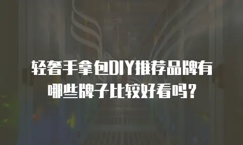 轻奢手拿包DIY推荐品牌有哪些牌子比较好看吗？