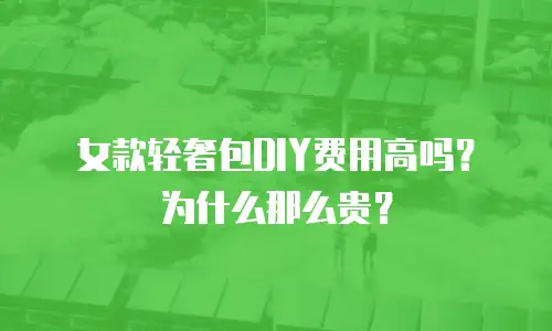 女款轻奢包DIY费用高吗？为什么那么贵？