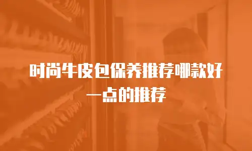 时尚牛皮包保养推荐哪款好一点的推荐
