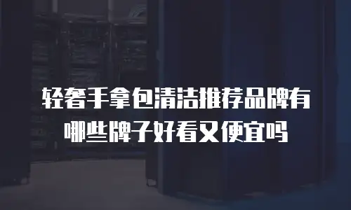 轻奢手拿包清洁推荐品牌有哪些牌子好看又便宜吗