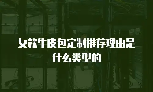 女款牛皮包定制推荐理由是什么类型的