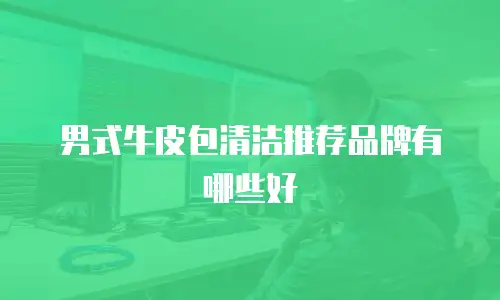 男式牛皮包清洁推荐品牌有哪些好