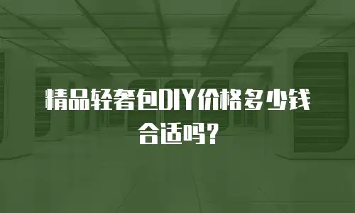 精品轻奢包DIY价格多少钱合适吗？