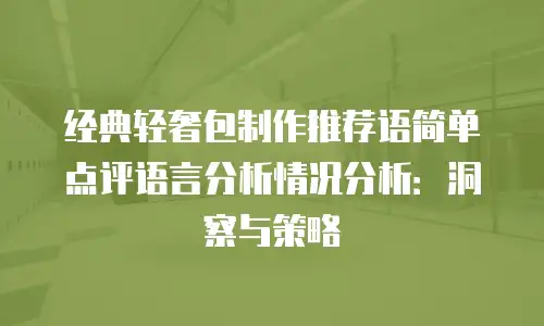 经典轻奢包制作推荐语简单点评语言分析情况分析：洞察与策略