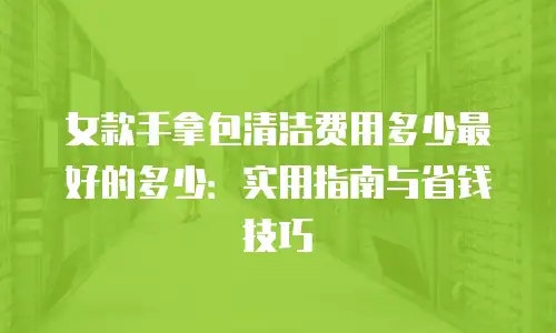 女款手拿包清洁费用多少最好的多少：实用指南与省钱技巧