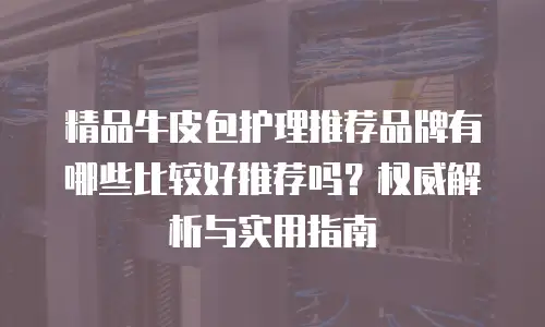 精品牛皮包护理推荐品牌有哪些比较好推荐吗？权威解析与实用指南