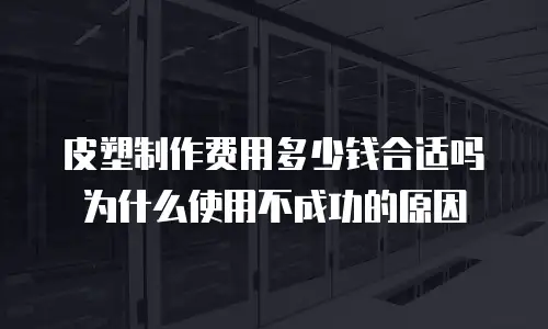 皮塑制作费用多少钱合适吗为什么使用不成功的原因