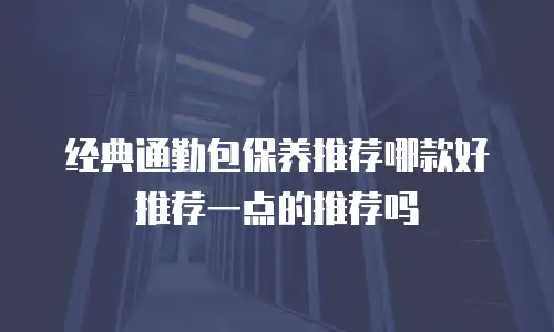 经典通勤包保养推荐哪款好推荐一点的推荐吗