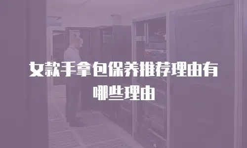 女款手拿包保养推荐理由有哪些理由