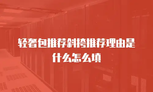 轻奢包推荐斜挎推荐理由是什么怎么填