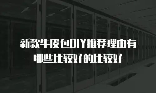 新款牛皮包DIY推荐理由有哪些比较好的比较好
