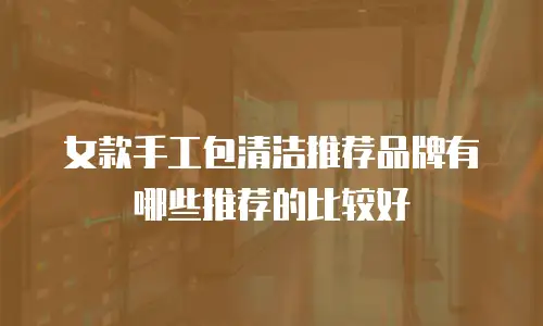 女款手工包清洁推荐品牌有哪些推荐的比较好