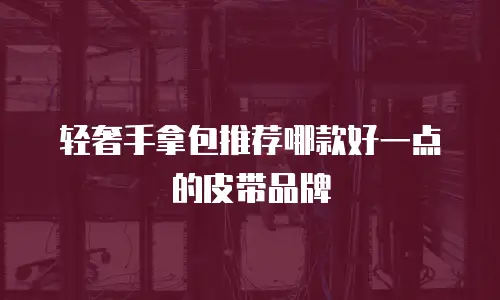 轻奢手拿包推荐哪款好一点的皮带品牌