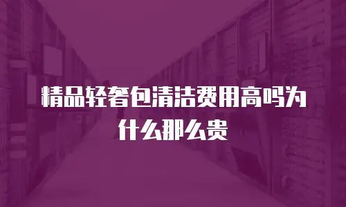 精品轻奢包清洁费用高吗为什么那么贵