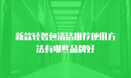 新款轻奢包清洁推荐使用方法有哪些品牌好