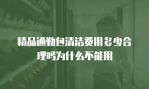 精品通勤包清洁费用多少合理吗为什么不能用