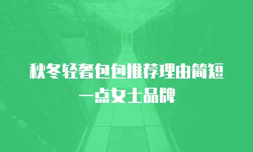 秋冬轻奢包包推荐理由简短一点女士品牌