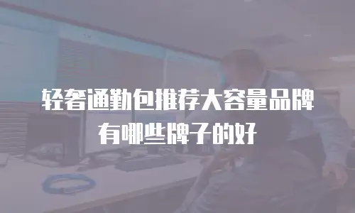 轻奢通勤包推荐大容量品牌有哪些牌子的好